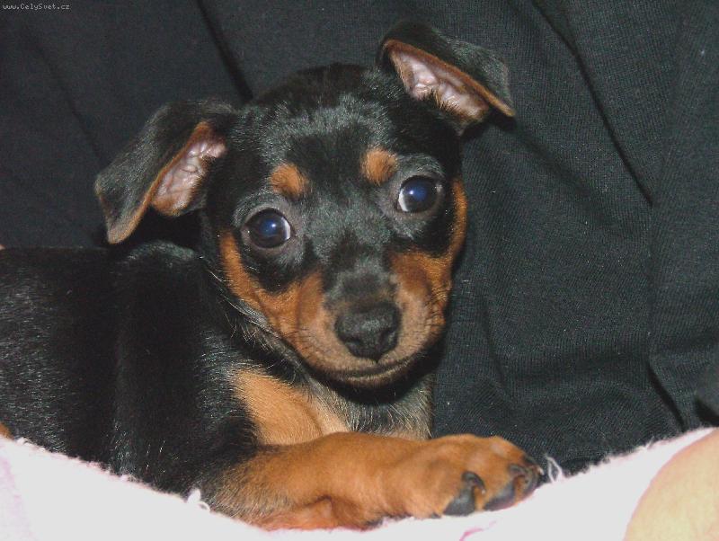 Foto: Poprv� doma - 7 t�dn�