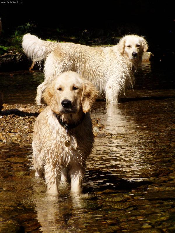 Foto: tatik se synem...
