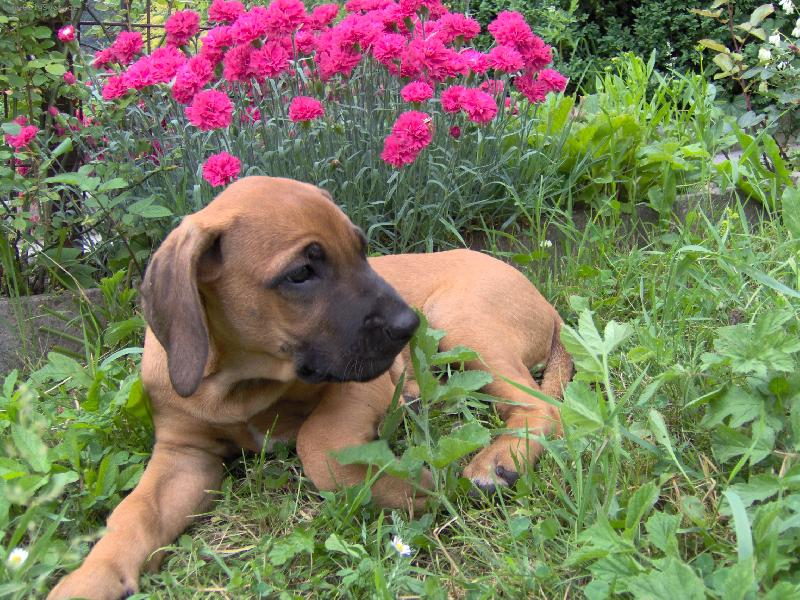 Foto: Meggy-Mal� lovec mot�l�