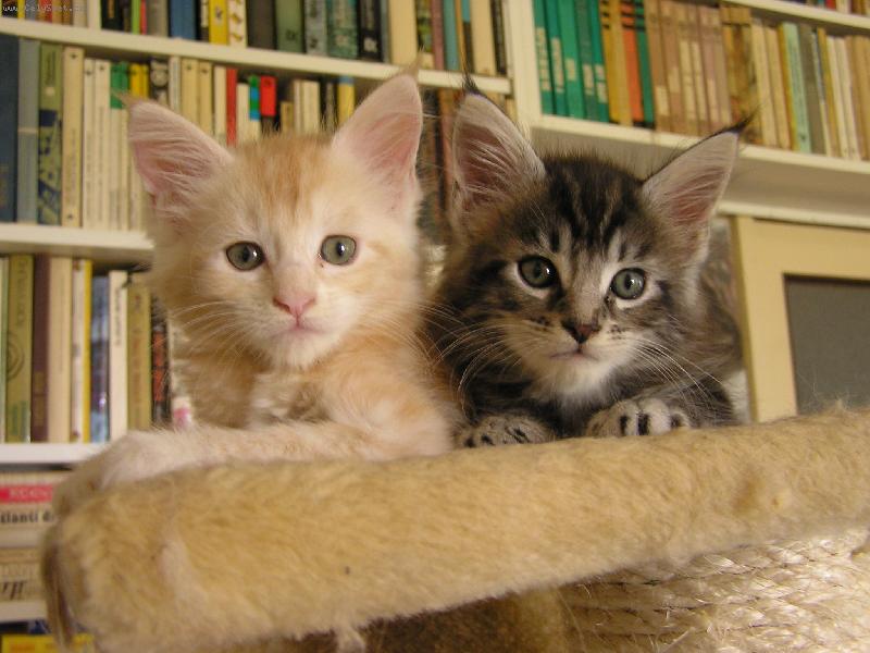 Foto: Birgit a Black Jack-My to slovo "s�r" prost� ne�ekneme!!!