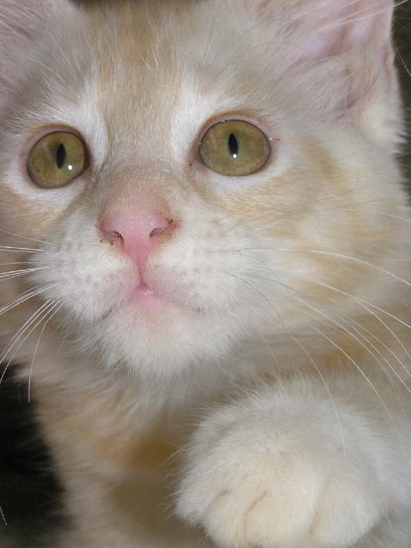 Foto: Birgit-J� si chci s�hnout,aspo� tro�ku....