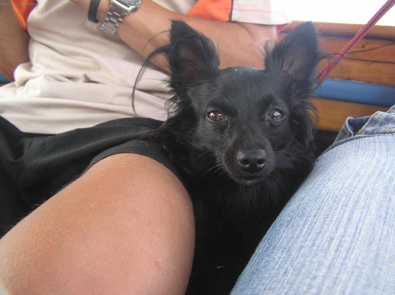 Foto: Poledn� siesta-Na�e miminko po dobr�m ob�dku na dovolen�