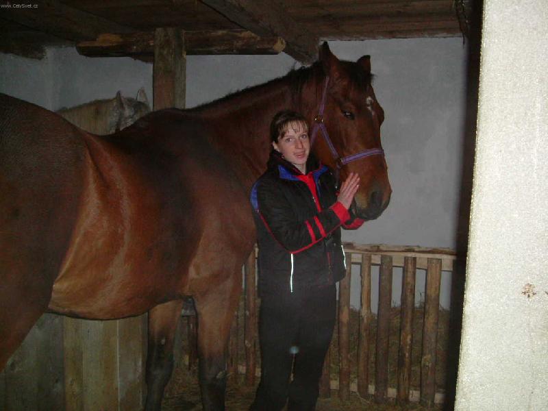 Foto: Hn�dka Odra-Mazliv� zlat��ko