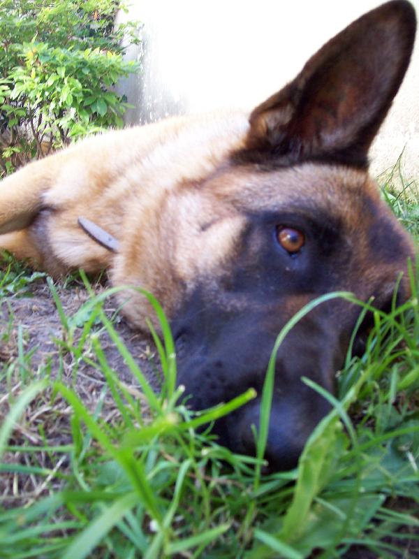 Foto: Kerryn�in kuku�-Kerry asi zrovna nad ne��m p�em��l�...