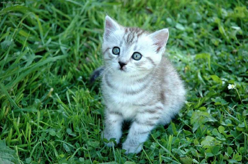 Foto: Soust�ed�n� na hru