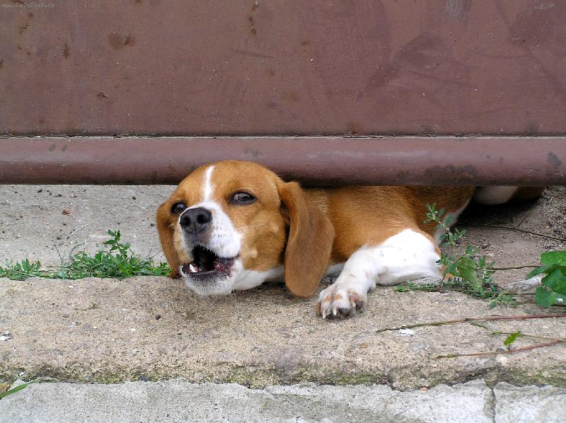 Foto: Tady hl�d�m j�