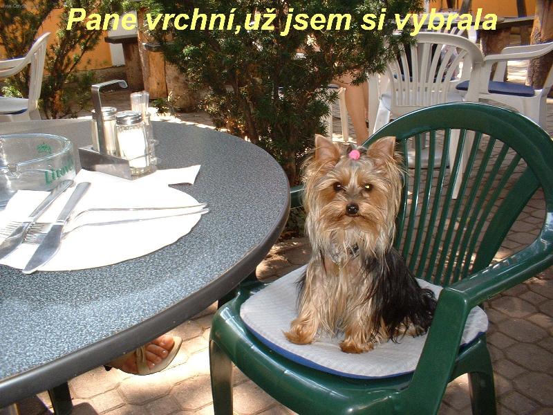 Foto: Tiffany-Pane vrchn�, u� jsem si vybrala!