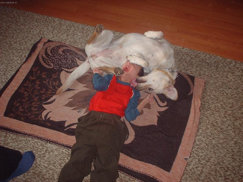 Foto: rann� hygiena-�David a Beauty si hraj�