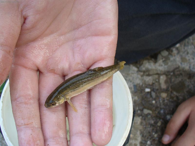 Foto: V�let U Ol�e-Par�dn� �lovek