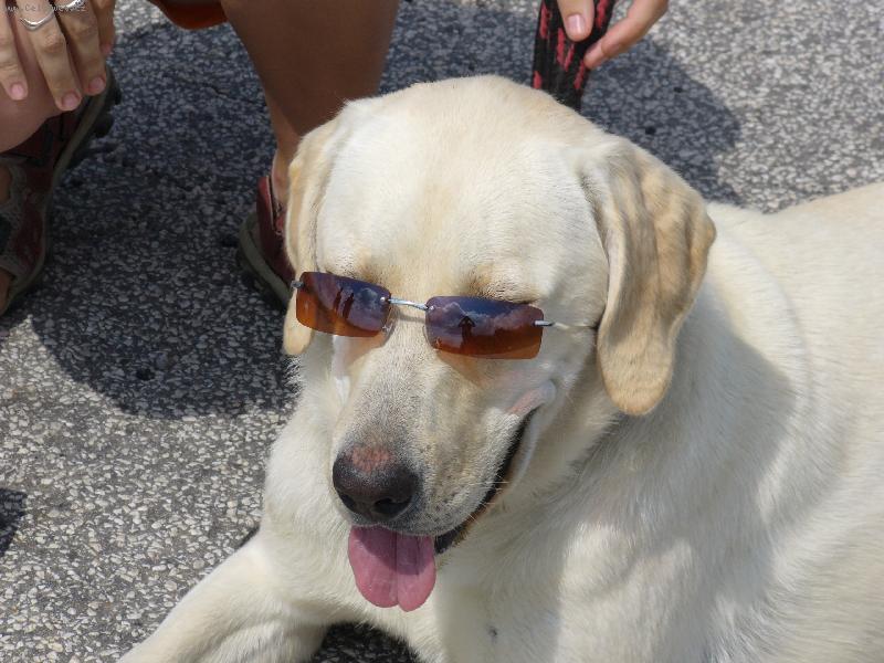 Foto: Pohod��ka-Sany,nejv�rn�j�� kamar�dka,kter� je pro ka�dou srandu