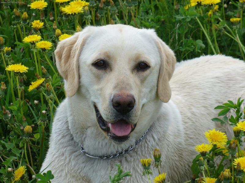 Foto: Romanti�ka-Sany,milovnice p��rody