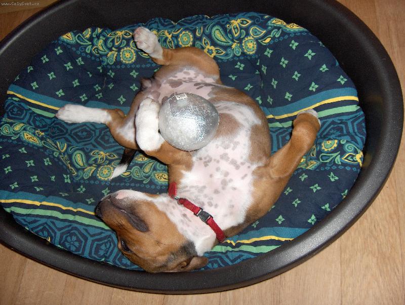 Foto: Urfa-Sp�c� sportovkyn�