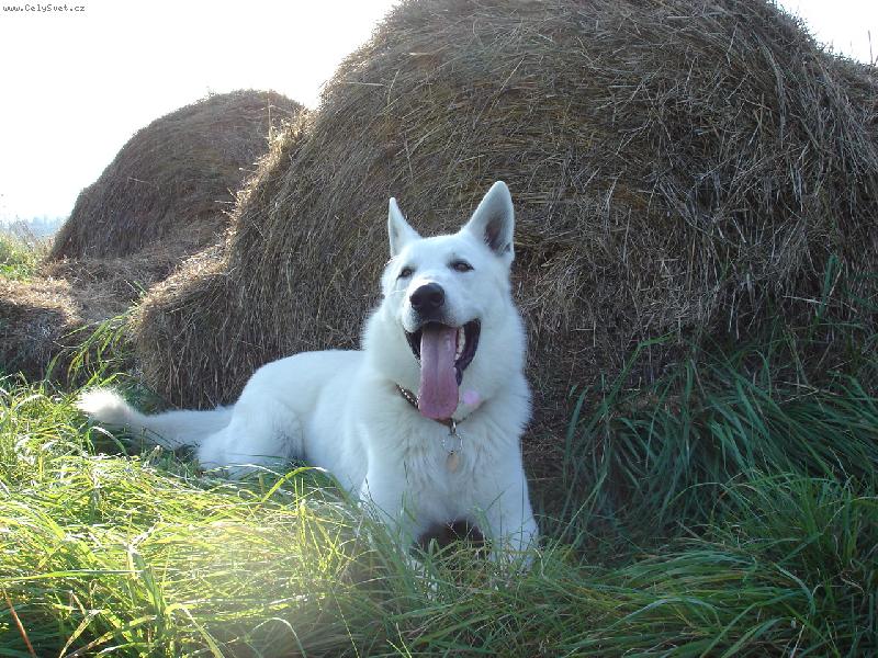 Foto: n�jak m� to vedro zm�h�