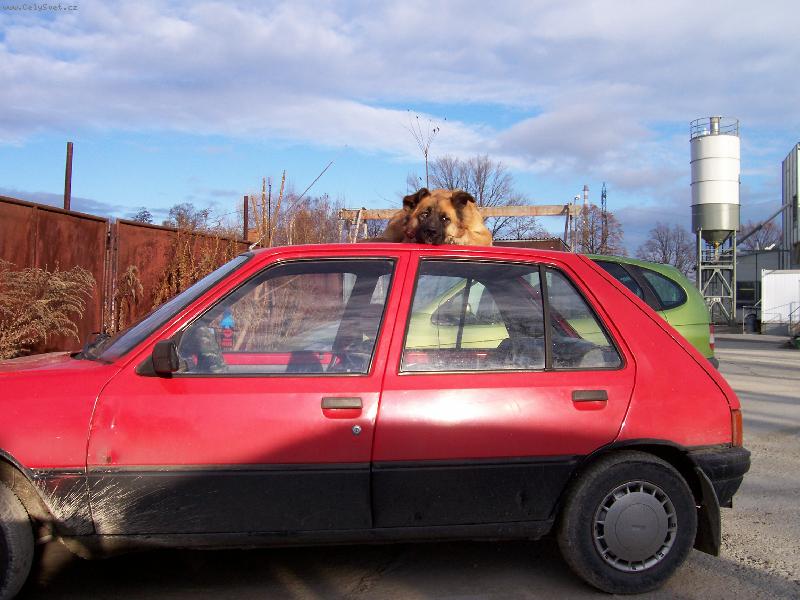 Foto: Tohle auto hl�d�m j�!!-Bettynka na st�e�e