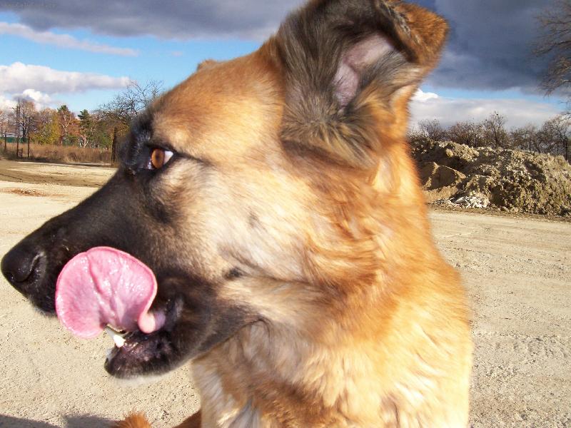 Foto: mlsn� d�ma-mlsn� d�ma