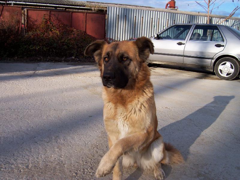 Foto: D�ma Betty-Bettynka