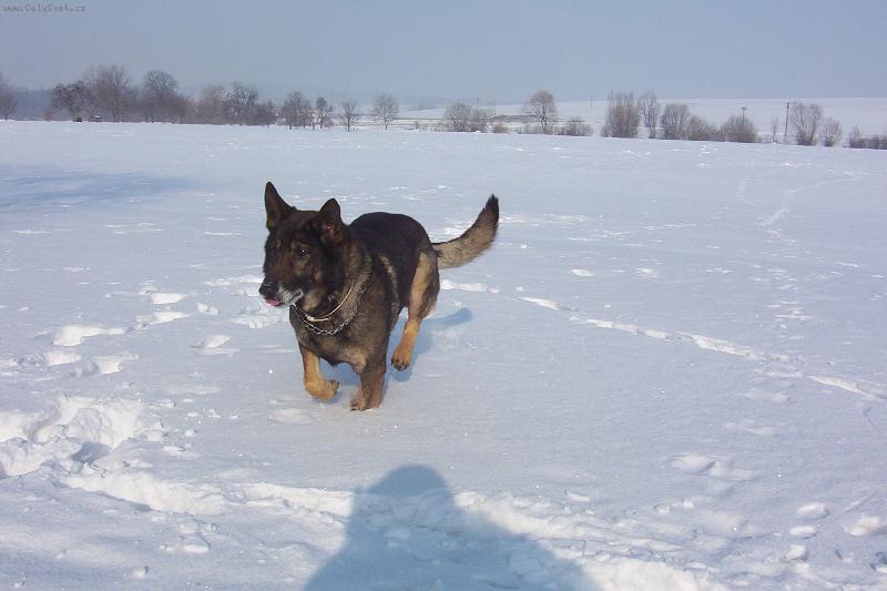 Foto: zimn� ��d�n�-ben�k u��v� sn�hu