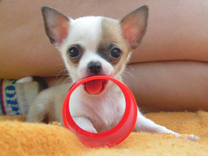 Foto: Pr�ma hra�ka-Nezapomenutoln� momentka