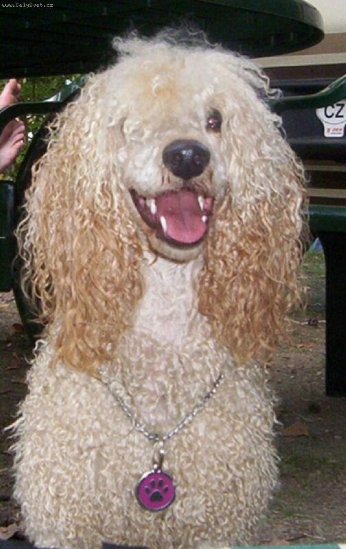 Foto: Eli�ka-Tak vypad�m po t�ech dnech v Bohnic�ch. V�ele doporu�uji!!!!!!!!!!!!