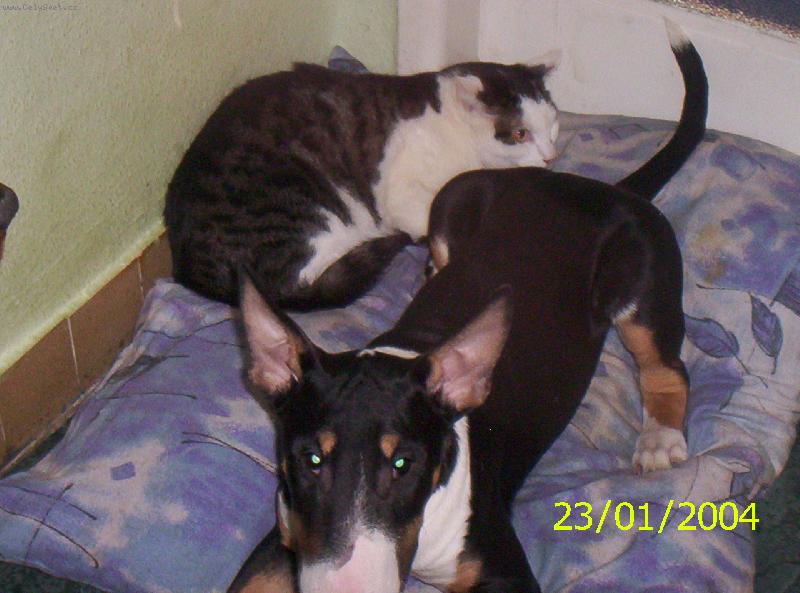 Foto: mal� Fany-Tak ten je m�j