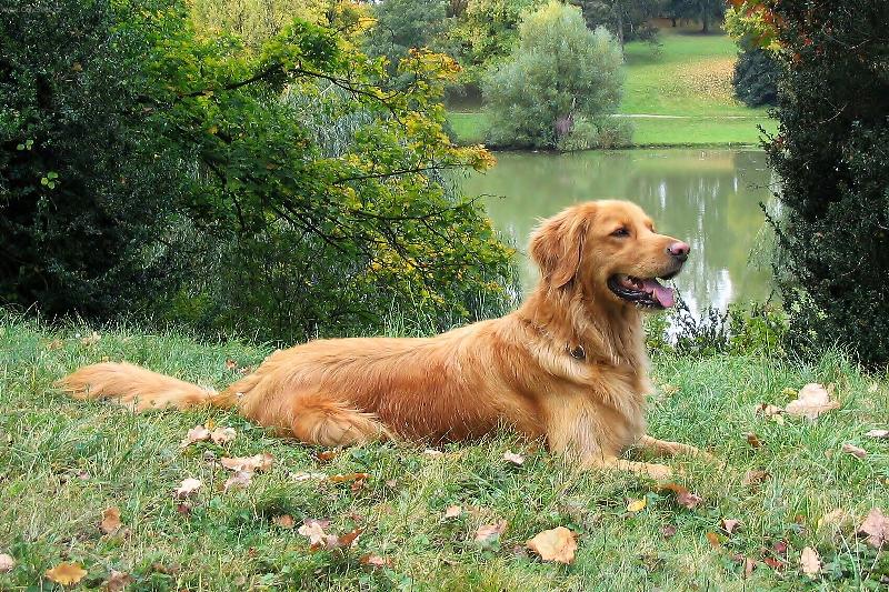 Foto: LETN� ROZJ�M�N�-HEXA Z P�RALOVY ZAHRADY