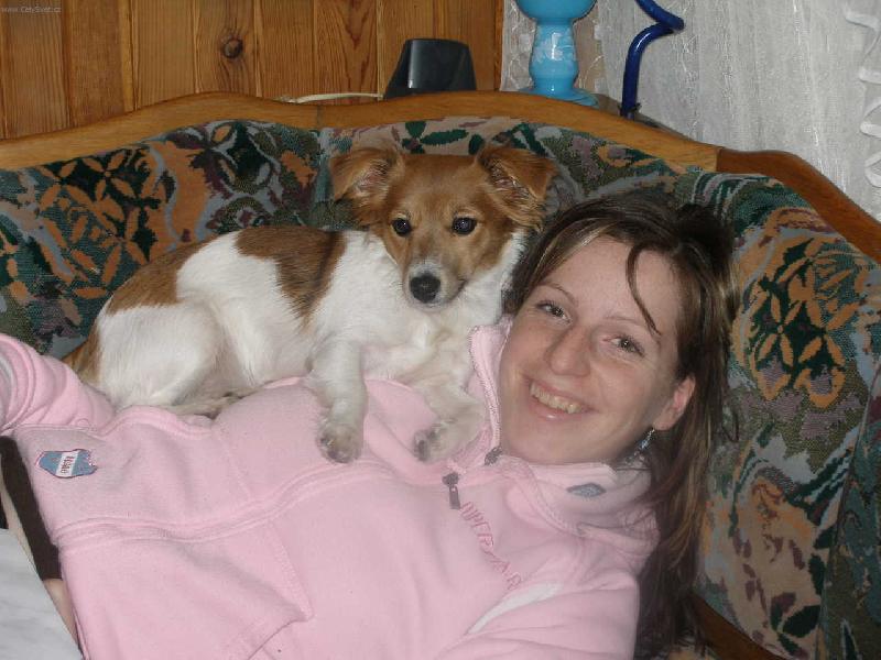 Foto: Jack Russell Terier Kelly-No coment...