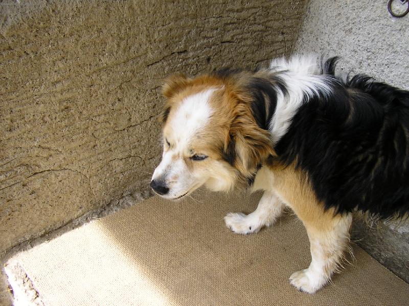 Foto: F�K-F�K POZUJE