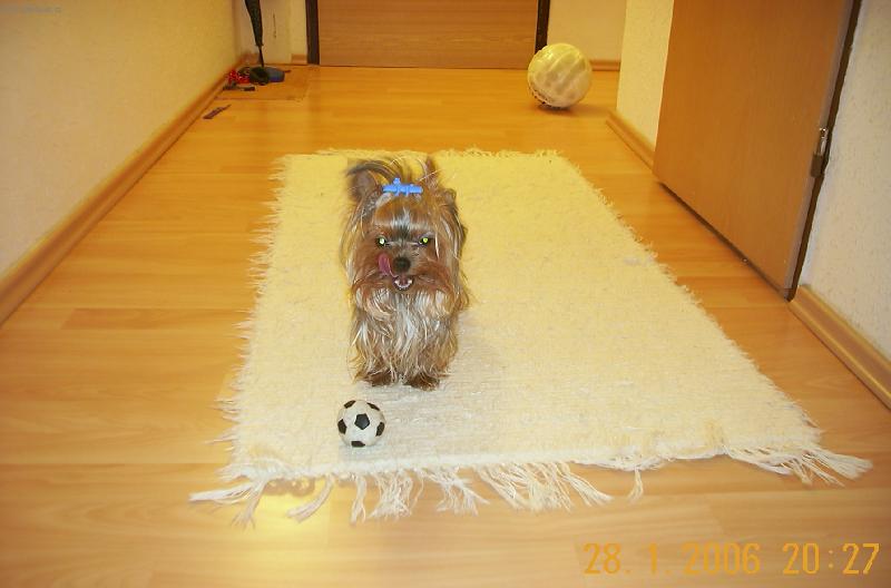 Foto: Max�k-m��ek-ale nen� k j�dlu