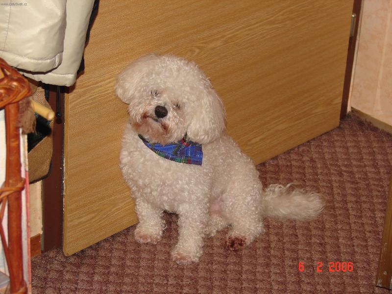 Foto: J� chci ven!!-Pot�ebuji na ...