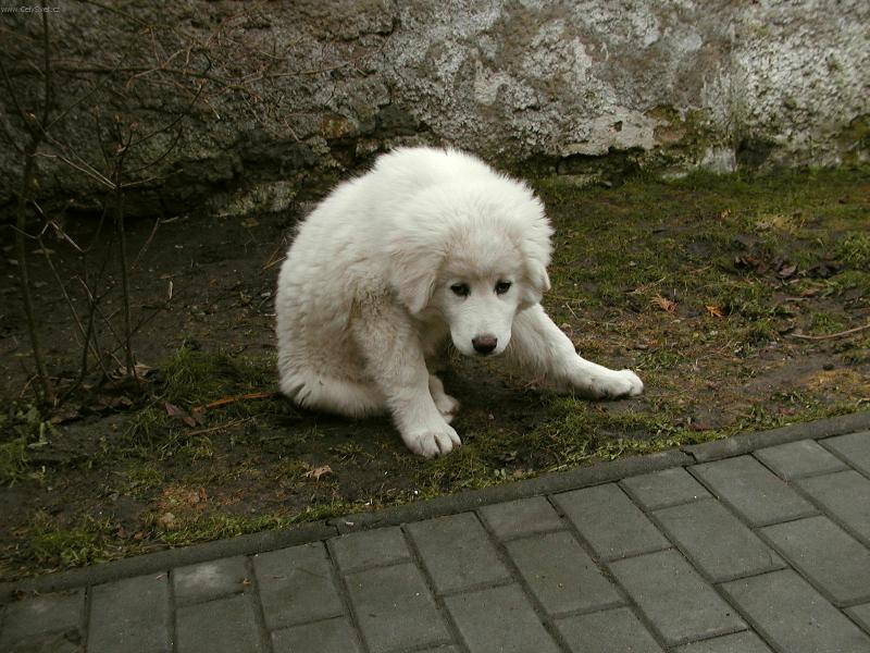 Foto: Dejte si na m� pozor, kou�u