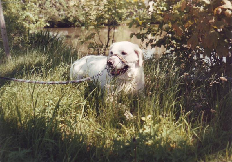 Foto: Akim v tr�v�-nen� nadhern�