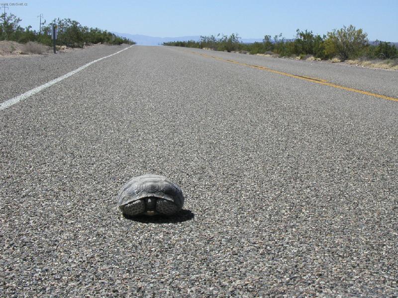 Foto: kl�dek..jdu jak nejrychleji um�m-route 66