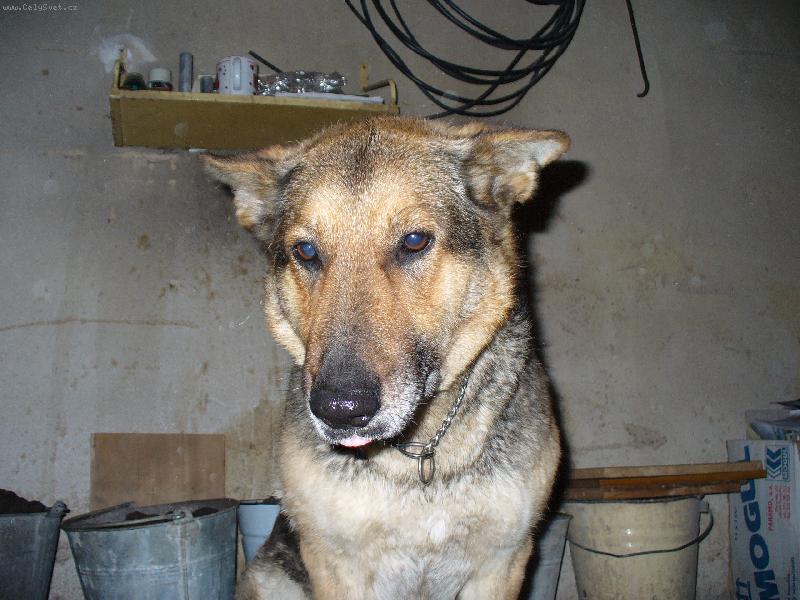 Foto: Jak m�m p�ilo�it do toho kotle?-Snad si neukousne jazyk p�i tom p�em��len�