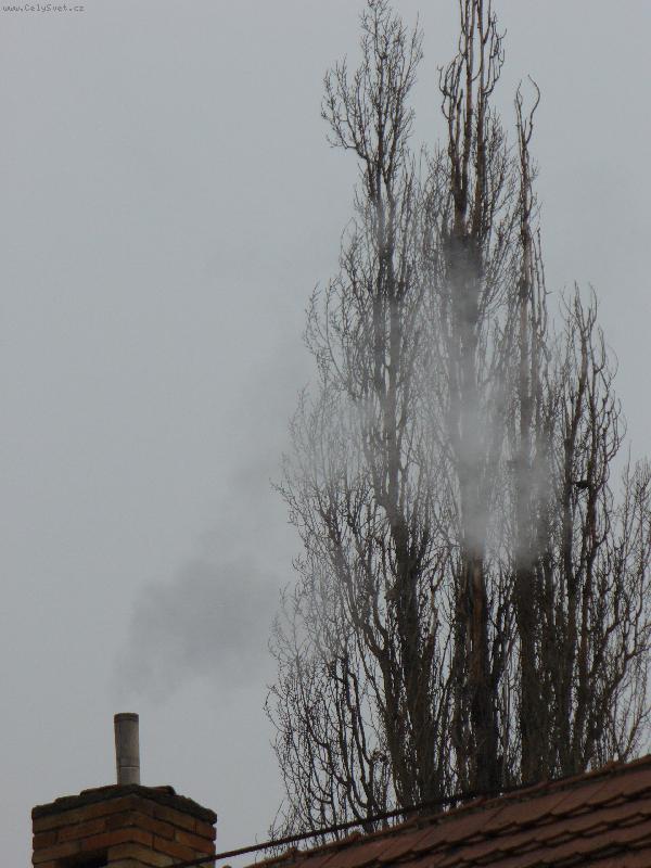 Foto: Ekologie-Smutn� pohled nad st�echy dom�