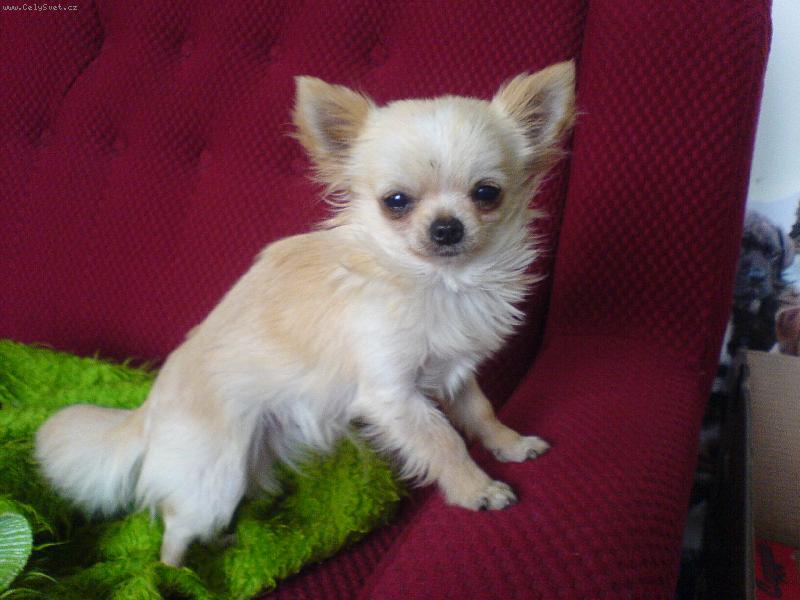 Foto: �imonek-Drobe�ek �imonek