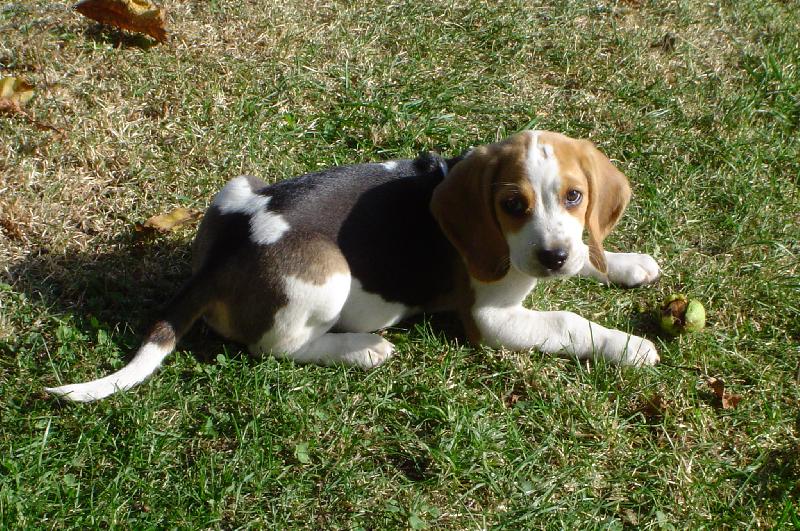 Foto: dat�k-u� nevim co kousat :o)