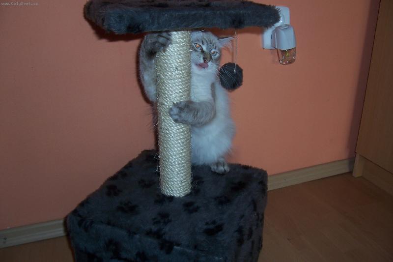 Foto: �kr�badlo m�sto basy???