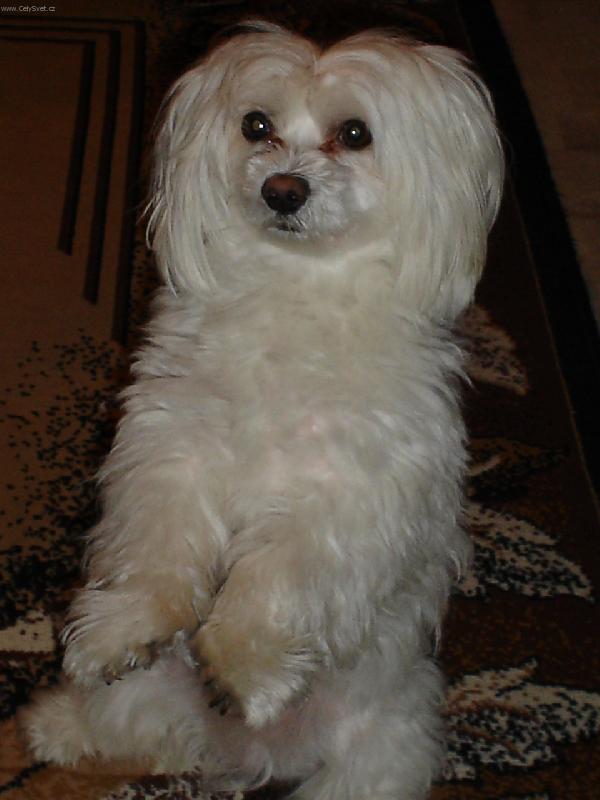 Foto: N� Fil�pek