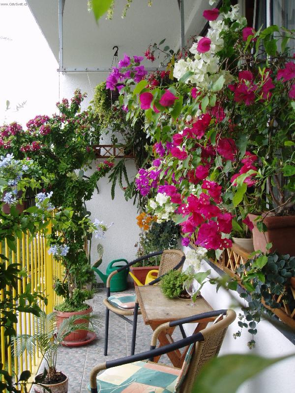Foto: balkon s boungaivilleemi-jihoz�pad balkonu srpen 2005
