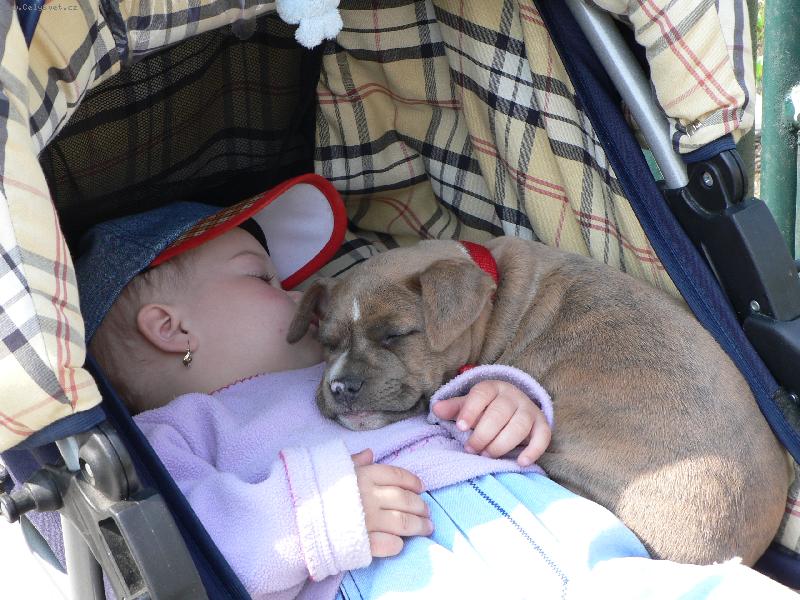 Foto: Sharlota s Ka�kou-u� toho bylo moc