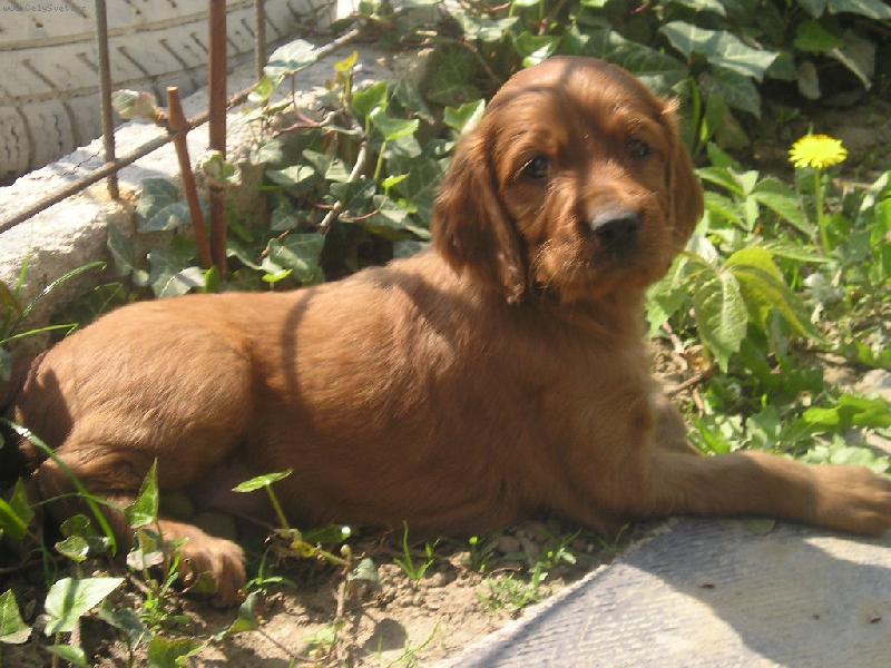 Foto: Mal� princezna