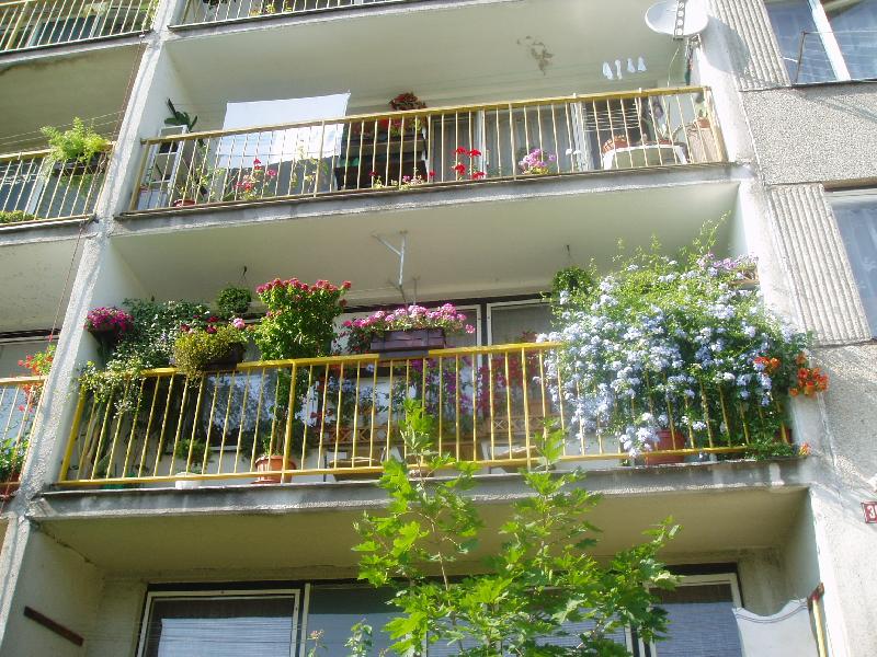 Foto: balkon s boungaivilleemi -�ervenec 2005-celkov� pohled zdola
