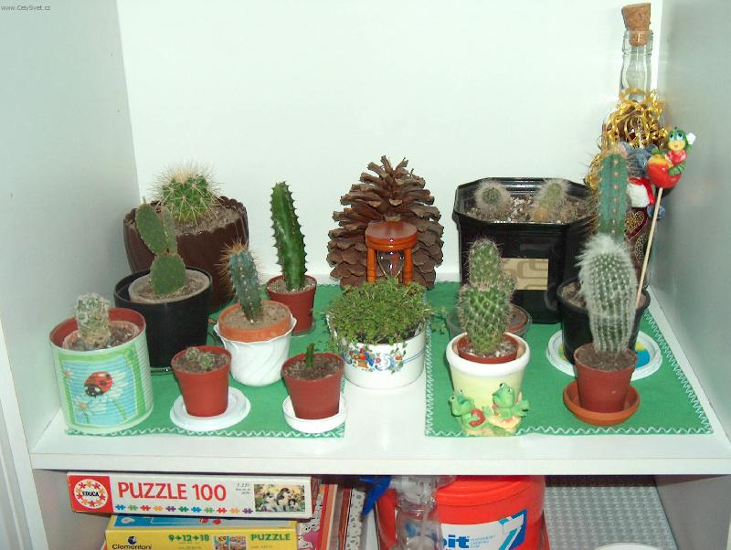 Foto: Moje zb�rka-ted u� je mnohokr�t v�ts� !