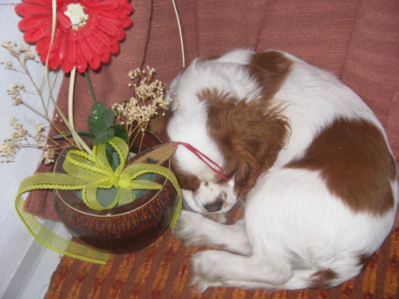 Foto: To m�ste�ko je moje.-Kdyby jste jenom cht�li v�d�t moje jm�no tak Charles a u� m� nebu�te!