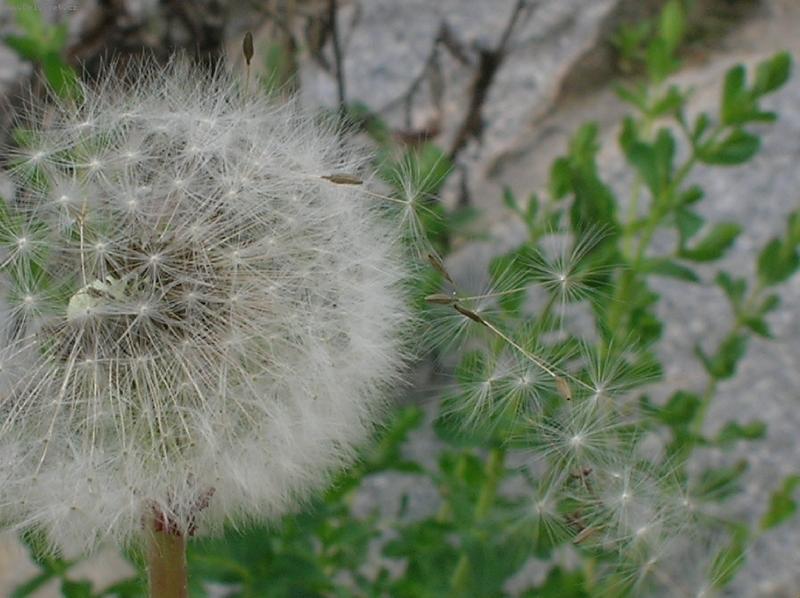 Foto: chm���-co v�echno odv�l �as