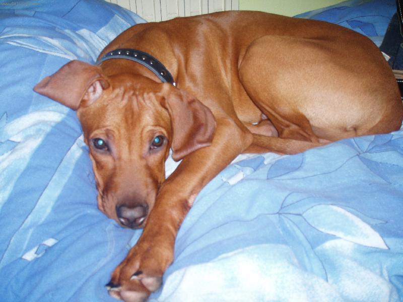 Foto: M�j pelech???