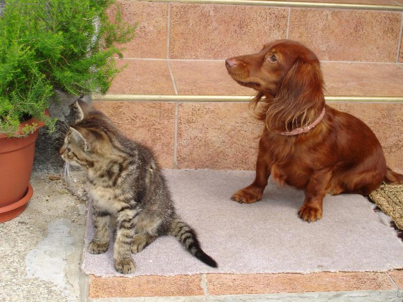 Foto: Koukej co to je??