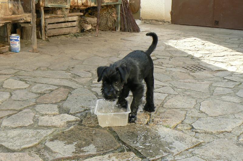 Foto: ��k�m, �e jsem m�la b�t rybou!!-Xiru�ka ve sv�m �ivlu