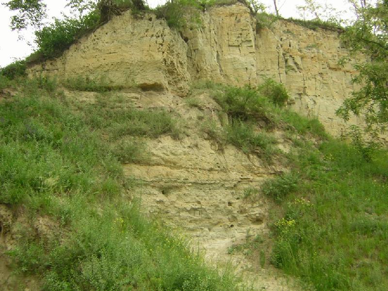 Foto: i tohle je u n�s-divte i takle vypad� �ej�