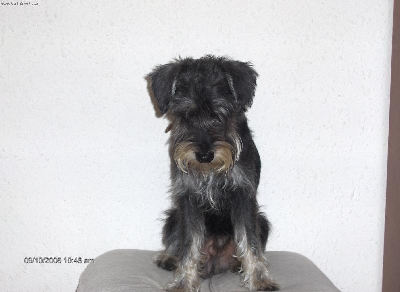 Foto: Kolou�ek-J� jsem p�knej nebo ne?